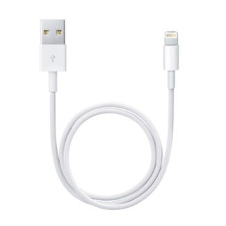 Apple Lightning naar USB Cable (0.5m)