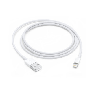 Apple Lightning naar USB Cable (1m)