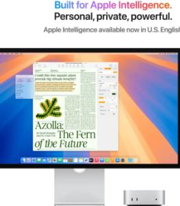 Apple Mac Mini (2024) - M4 Pro - 24GB - 512GB