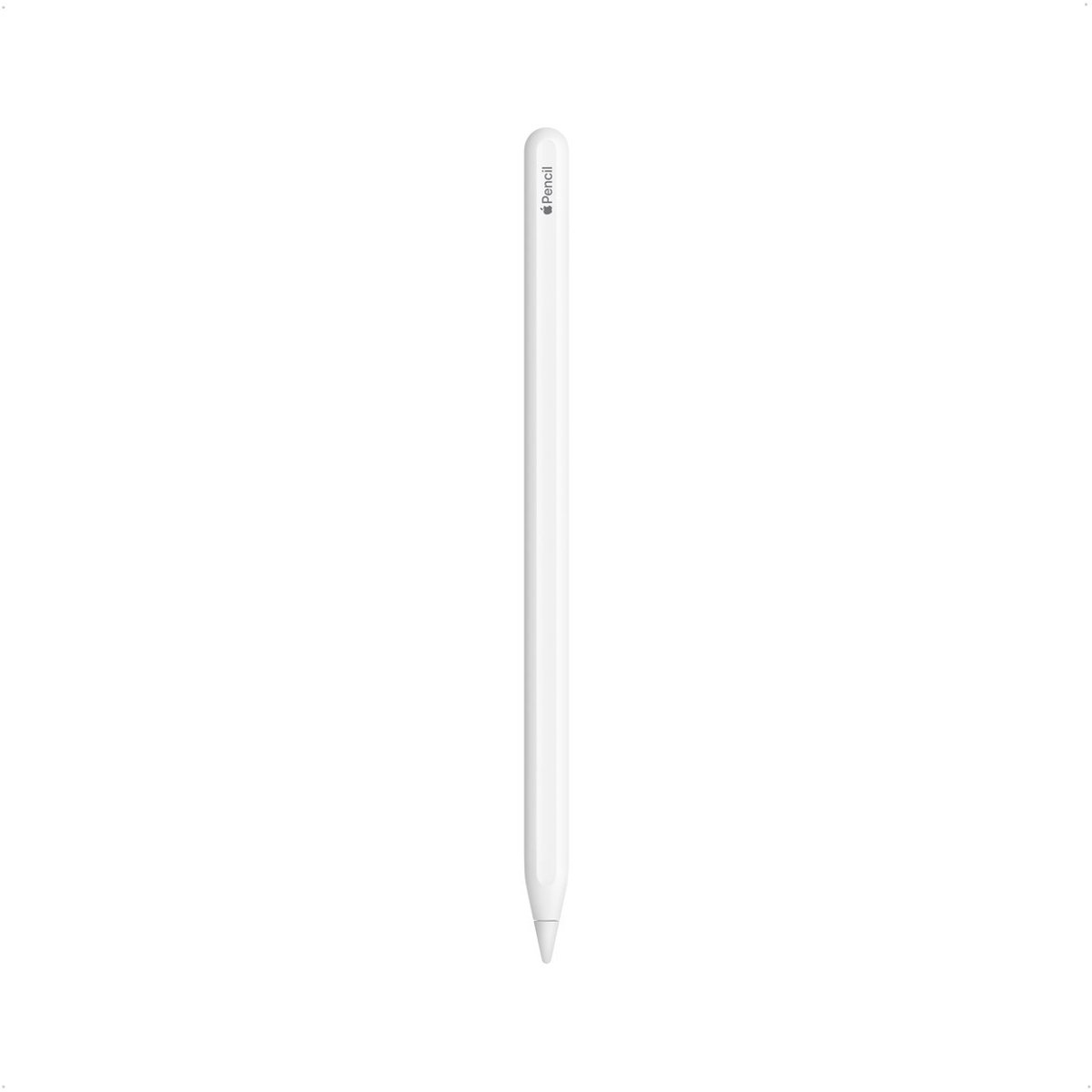 Apple Pencil (2e Generatie) (2025) - Wit